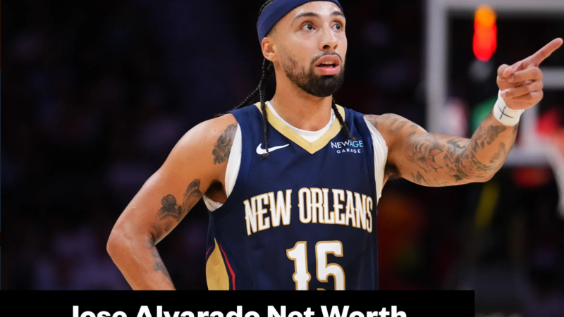 Jose Alvarado Net Worth 2026: Knicks Salary and Contract