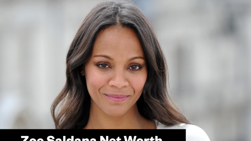 Zoe Saldaña Net Worth, Box Office Record and Movie Earnings